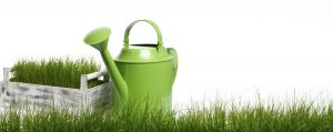 Superb Gardening and Landscaping in Bay Shore NY