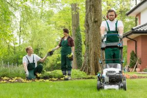 Quality Landscaping Contractor in Bay Shore NY