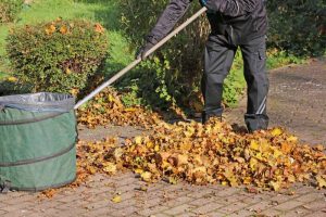 Reliable Residential Landscaping Services in Bay Shore NY
